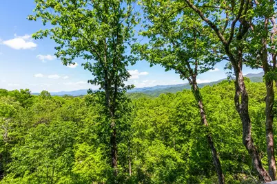 175 Pine Ridge Drive, Andrews, NC 28901 - Photo 90