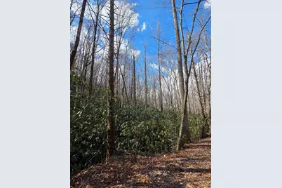 1104 Mill Creek Road, Robbinsville, NC 28771 - Photo 16