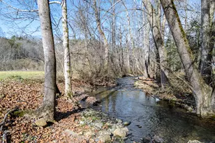 172 Eden Acres Dr, Andrews, NC 28901 - Photo 2