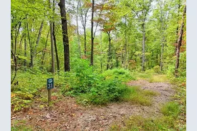 Lot 31 Skyview Trail, Hayesville, NC 28904 - Photo 4