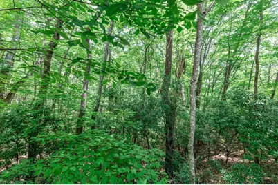 Lot 56 Indian Rock Springs, Murphy, NC 28906 - Photo 12