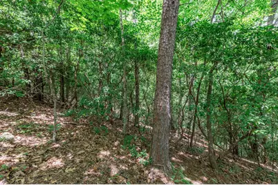 Lot 56 Indian Rock Springs, Murphy, NC 28906 - Photo 16