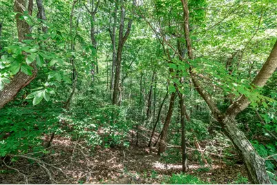 Lot 56 Indian Rock Springs, Murphy, NC 28906 - Photo 8