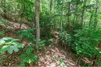Lot 56 Indian Rock Springs, Murphy, NC 28906 - Photo 10