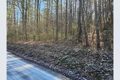 0 Beaverdam Road, Murphy, NC 28906 - Photo 6