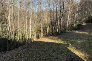 60 Porterfield Gap Rd, Robbinsville, NC 28771 - Photo 24