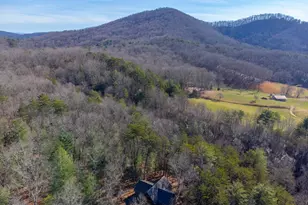 397 Kennelly Loop, Murphy, NC 28906 - Photo 36