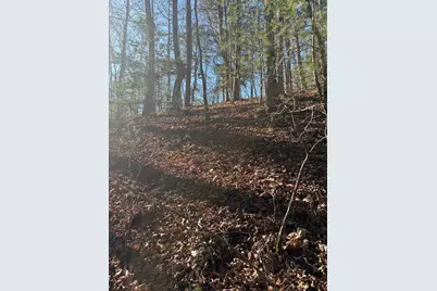 1.03 Deep Forest Road, Murphy, NC 28906 - Photo 12