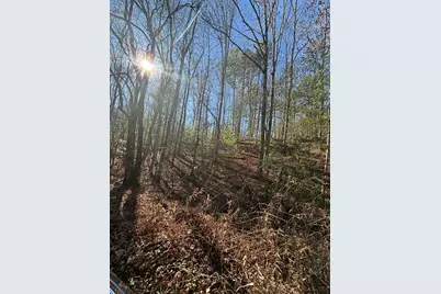 1.03 Deep Forest Road, Murphy, NC 28906 - Photo 22