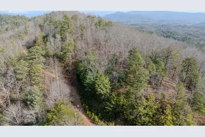 1.03 Deep Forest Road, Murphy, NC 28906 - Photo 1