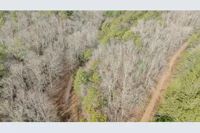 1.03 Deep Forest Road, Murphy, NC 28906 - Photo 30