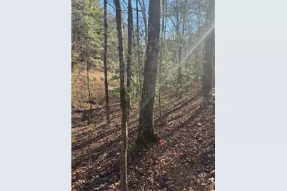 1.03 Deep Forest Road, Murphy, NC 28906 - Photo 14