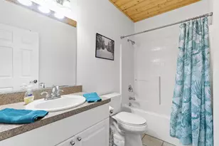 358 Misty River Cir, Murphy, NC 28906 - Photo 38