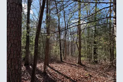 Lot #20 Yellow Maple Drive, Murphy, NC 28906 - Photo 4