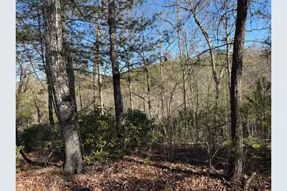 Lot #20 Yellow Maple Drive, Murphy, NC 28906 - Photo 6