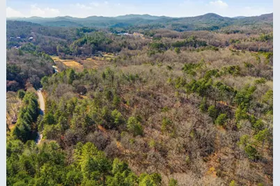 115 Crowe Mountain Lane, Murphy, NC 28906 - Photo 4
