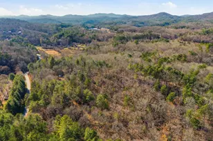115 Crowe Mountain Ln, Murphy, NC 28906 - Photo 4