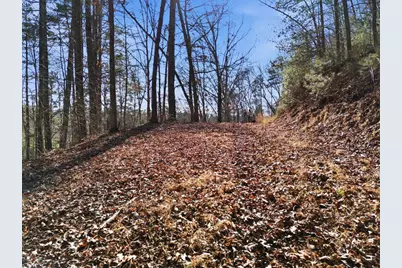 115 Crowe Mountain Lane, Murphy, NC 28906 - Photo 20