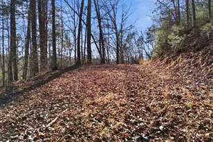 115 Crowe Mountain Ln, Murphy, NC 28906 - Photo 20