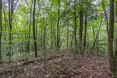 3 Ac Chestnut Flats Road, Andrews, NC 28901 - Photo 4