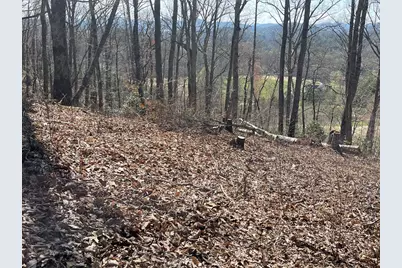 22M 26M Ridges Fairway, Hayesville, NC 28904 - Photo 6