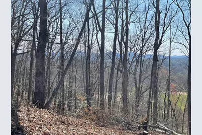 22M 26M Ridges Fairway, Hayesville, NC 28904 - Photo 2