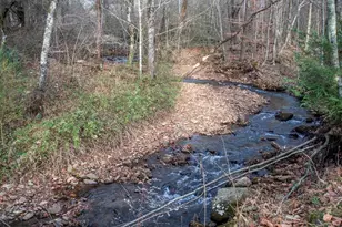 11509 Hwy 64 E, Hayesville, NC 28904 - Photo 4