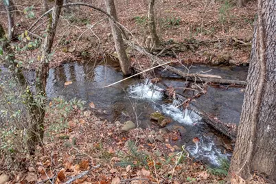 11509 Hwy 64 E, Hayesville, NC 28904 - Photo 40