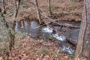 11509 Hwy 64 E, Hayesville, NC 28904 - Photo 40