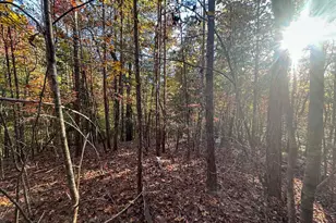 0 Dones Dr, Murphy, NC 28906 - Photo 1
