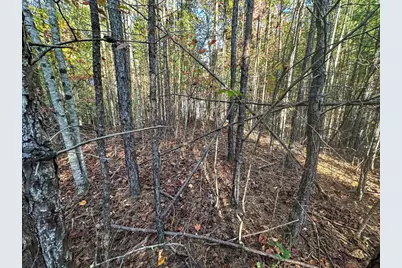 0 Dones Drive, Murphy, NC 28906 - Photo 2
