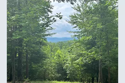 Lot 49 Burger Road, Murphy, NC 28906 - Photo 1