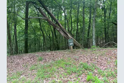 Lot 49 Burger Road, Murphy, NC 28906 - Photo 2