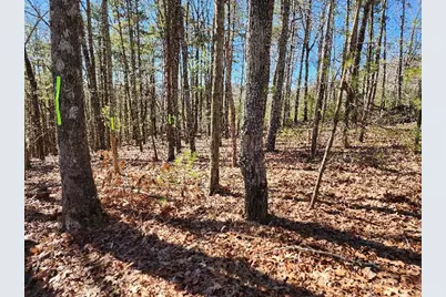 Lot17 Gray Grouse Trail, Murphy, NC 28906 - Photo 6