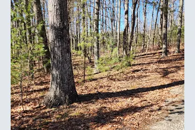 Lot17 Gray Grouse Trail, Murphy, NC 28906 - Photo 4