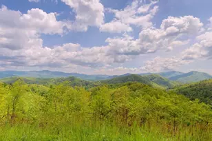 170 Polaris Wy, Topton, NC 28781 - Photo 54