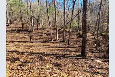Lot 205 Windy Mountain Peak Lane, Murphy, NC 28906 - Photo 12