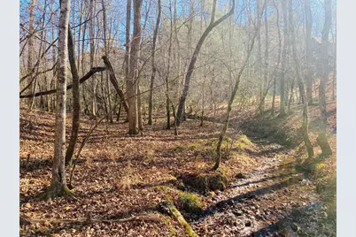 Lot 205 Windy Mountain Peak Lane, Murphy, NC 28906 - Photo 6