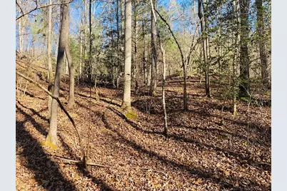 Lot 205 Windy Mountain Peak Lane, Murphy, NC 28906 - Photo 8