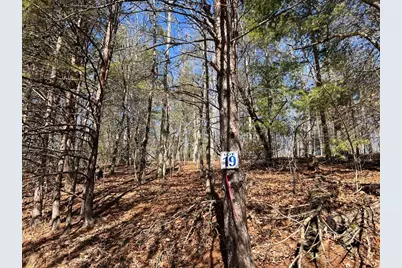 Lot 19 Mission Ridge, Hayesville, NC 28904 - Photo 1