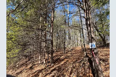 Lot 19 Mission Ridge, Hayesville, NC 28904 - Photo 6