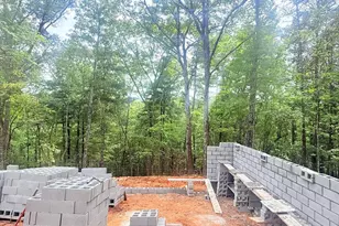 67 Noelles Pass, Murphy, NC 28906 - Photo 2