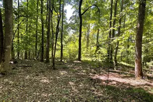Lot 11B Grandview Dr, Hayesville, NC 28904 - Photo 1