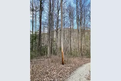 00 Carringer Road, Robbinsville, NC 28771 - Photo 4