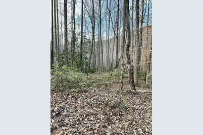 00 Carringer Road, Robbinsville, NC 28771 - Photo 1