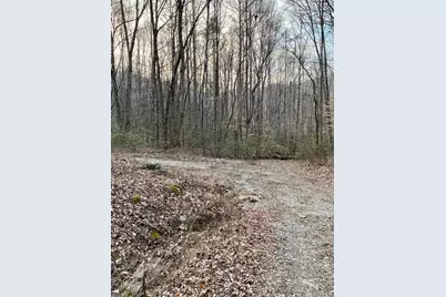 00 Carringer Road, Robbinsville, NC 28771 - Photo 2