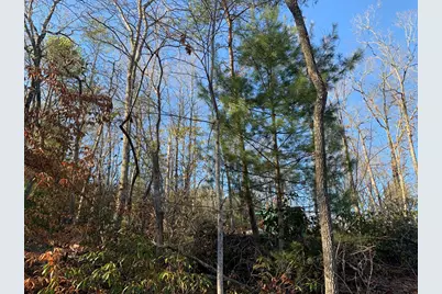 166 Qualla Trail, Murphy, NC 28906 - Photo 22