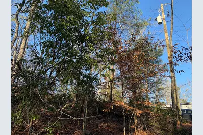 166 Qualla Trail, Murphy, NC 28906 - Photo 32