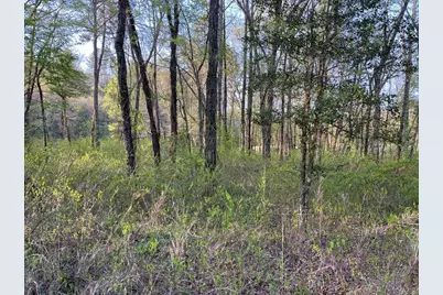 0 River Farm Drive, Murphy, NC 28906 - Photo 8