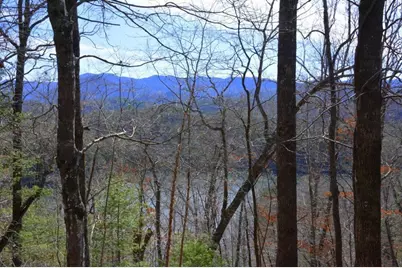 00 Chestnut Ridge, Robbinsville, NC 28771 - Photo 4